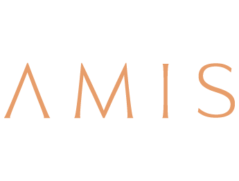 Amis Properties